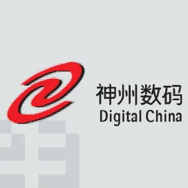Digital china